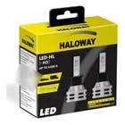 LED H3 HALOWAY 6500K 12-24V 24W